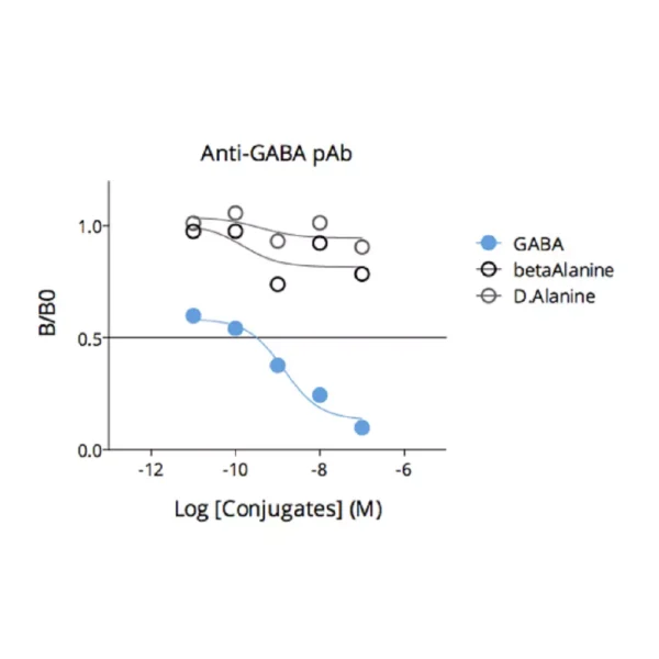 Affinity & specificity of anti-GABA antibody