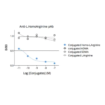 Affinity & specificity of anti-L-Homoarginine antibody