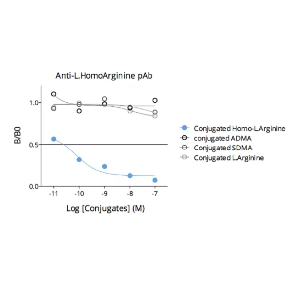 Affinity & specificity of anti-L-Homoarginine antibody