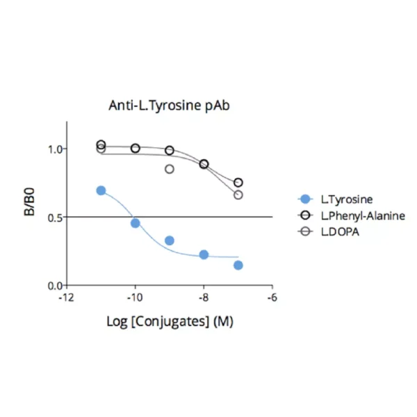 Affinity & specificity of anti- L-Tyrosine antibody