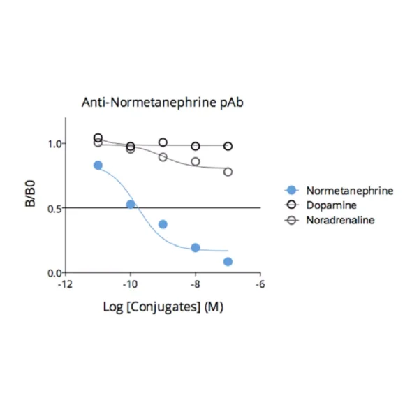 Affinity & specificity of anti-Normetanephrine antibody