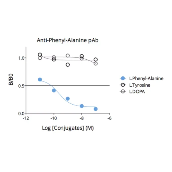 Affinity & specificity of anti-L-Phenylalanine antibody