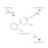 L-Kynurenine
