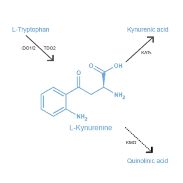 L-Kynurenine