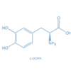 L-DOPA Antibody