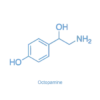 octopamine antibody