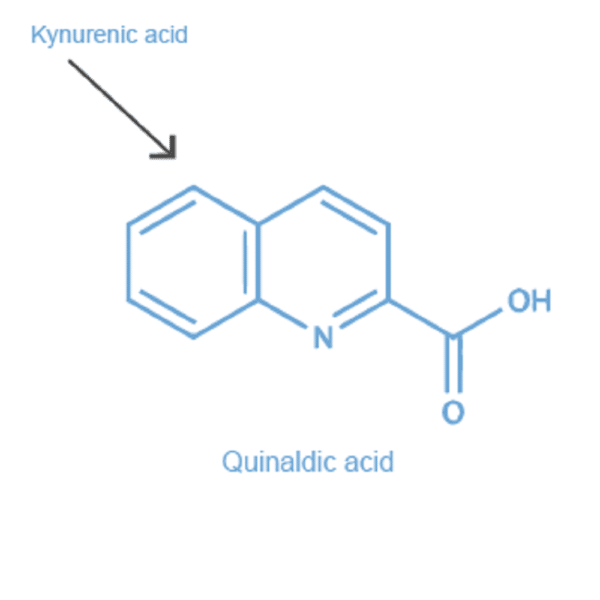 Quinaldic acid antibody
