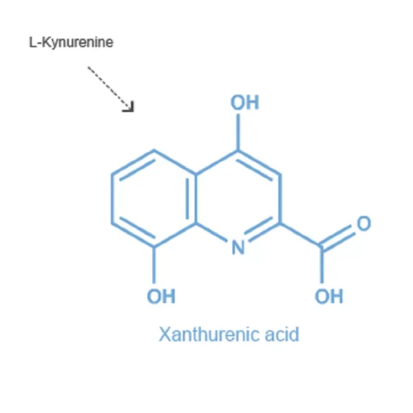Xanthurenic acid (XA)