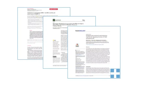 image news 3 publis
