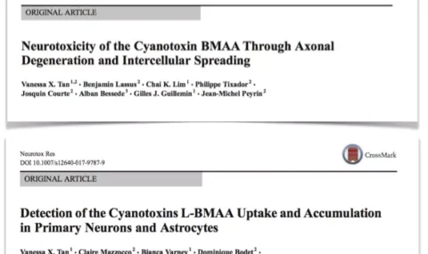 ImmuSmol highlighted in two recent scientific publications!
