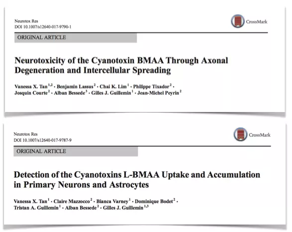 ImmuSmol highlighted in two recent scientific publications!
