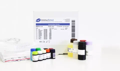 Screen IDO/TDO inhibitors using high-sensitive L-Kynurenine ELISA