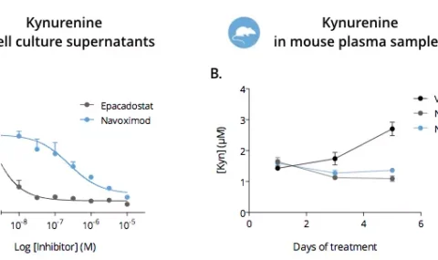Effect of IDO1 inhibition on Kynurenine levels measured by ELISA