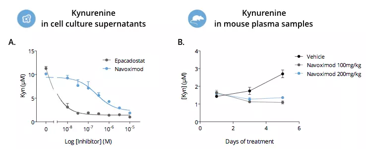 Effect of IDO1 inhibition on Kynurenine levels measured by ELISA