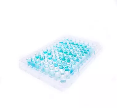 Plasma Norepinephrine ELISA kit