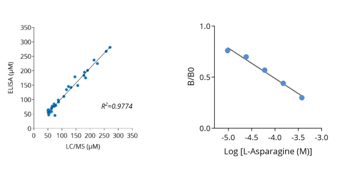L-Asparagine ELISA kit