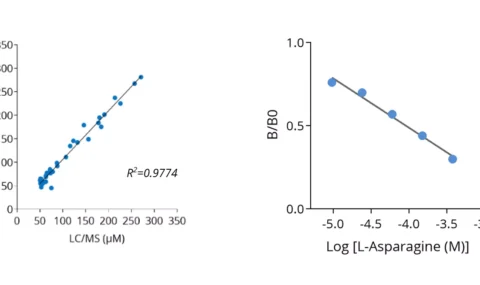 L-Asparagine ELISA kit