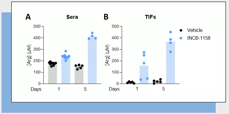 Figure 1 – Arginase inhibitor INCB-1158 restores Arg level in sera and TIFs in syngeneic MC38 tumor-bearing mice.
