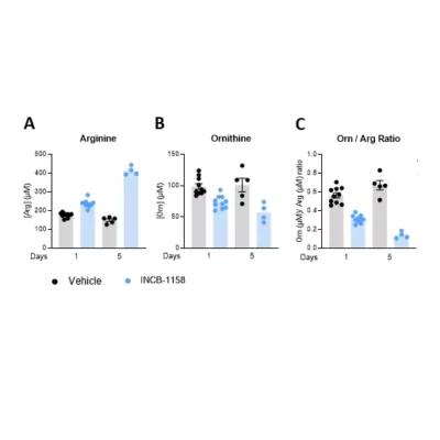The arginase inhibitor INCB-1158 restores Arg level while limiting Orn production in sera of MC38-tumor bearing mouse model