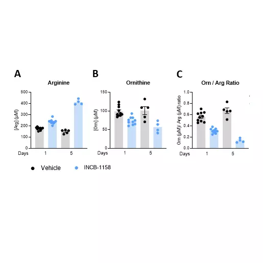 The arginase inhibitor INCB-1158 restores Arg level while limiting Orn production in sera of MC38-tumor bearing mouse model