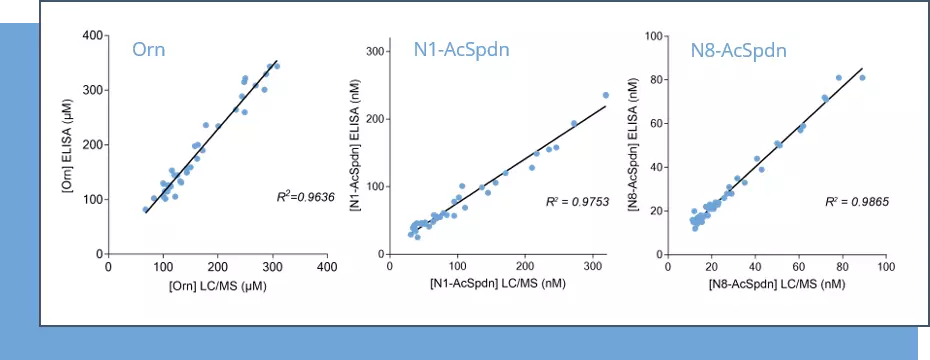 Assessing the polyamine pathway through immunoassays! Figure 1 – Cross-validation of ELISA and LC/MS data in human serum samples.