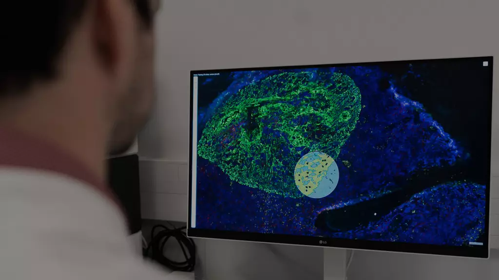 primary antibodies small molecules imaging visualization