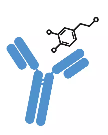 small-molecule-antibody