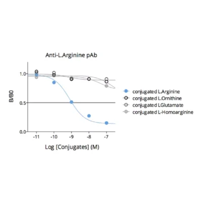 Affinity & specificity of anti-Arginine antibody