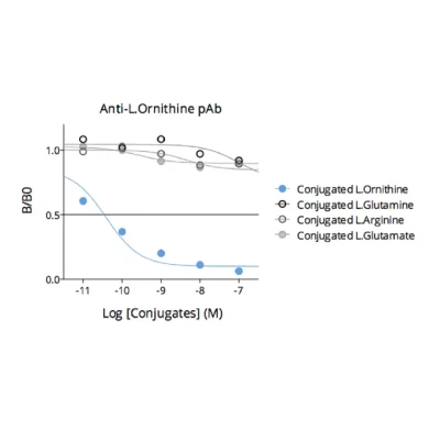 Affinity & specificity of anti- L-Ornithine antibody