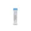 L-Citrulline antibody – rabbit pAb