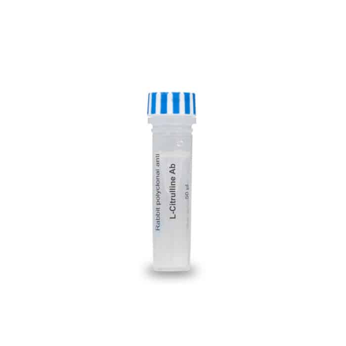 L-Citrulline antibody – rabbit pAb