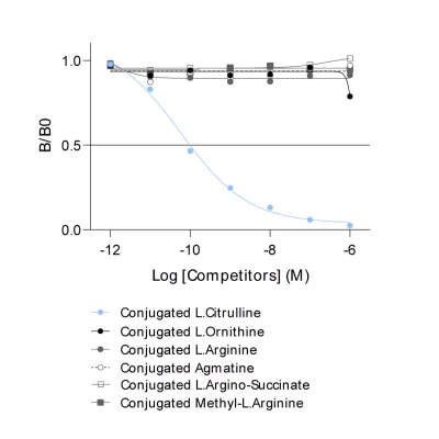 Affinity & specificity of anti-L-Citrulline antibody
