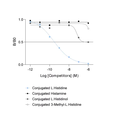 Affinity & specificity of anti-L-Histidine antibody