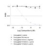 Affinity & specificity of anti-L-Lysine antibody
