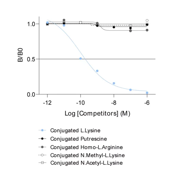 Affinity & specificity of anti-L-Lysine antibody