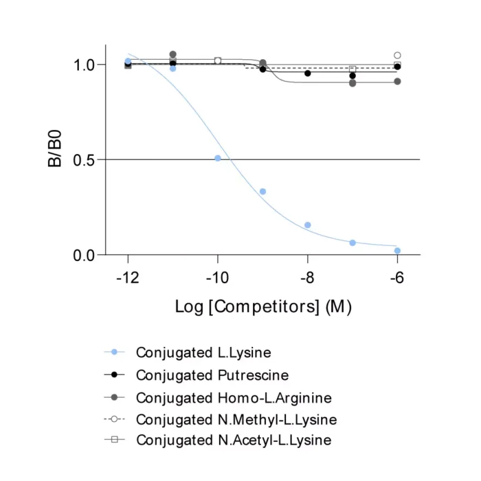Affinity & specificity of anti-L-Lysine antibody