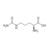 L-Citrulline Antibody