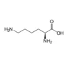 L-Lysine antibody