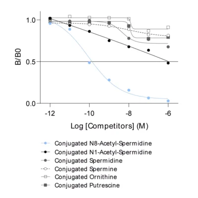 Affinity & specificity of anti-N8-Acetyl-Spermidine antibody