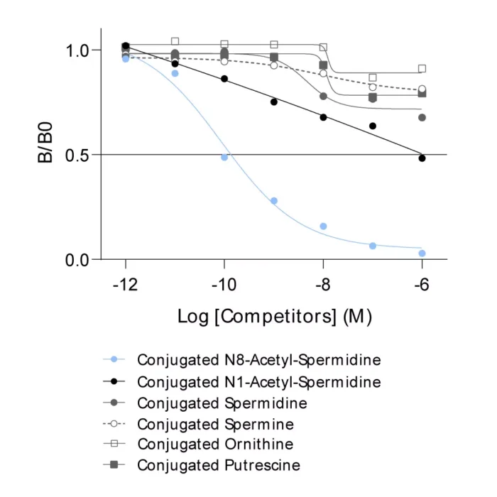 Affinity & specificity of anti-N8-Acetyl-Spermidine antibody