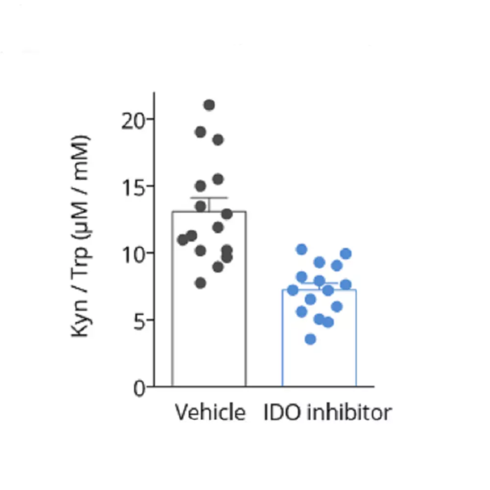 Kynurenine/Tryptophan ratio ELISA in IDOi-treated mice