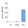 L-Kynurenine/ L-Tryptophan ratio ELISA in CT26 tumor cell lines