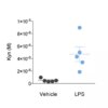 L-Kynurenine quantification by ELISA in 20µl mice plasma samples