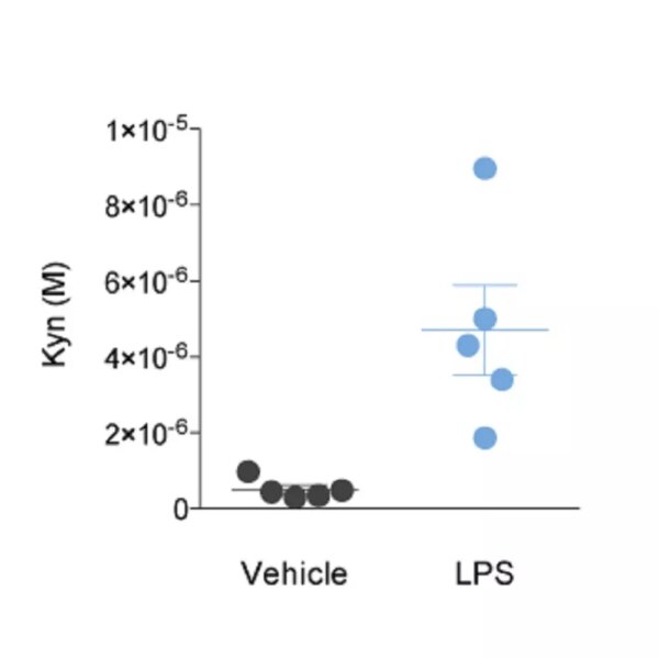L-Kynurenine quantification by ELISA in 20µl mice plasma samples