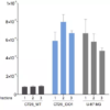 Determination of L-Kynurenine levels in cell cultures through microdialysis collection and by ELISA quantification