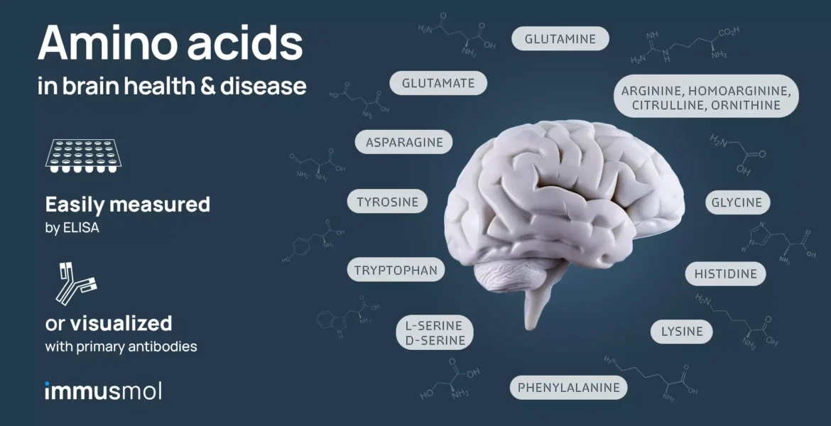 mino acids in brain health & disease: why and how to measure them easily ?
