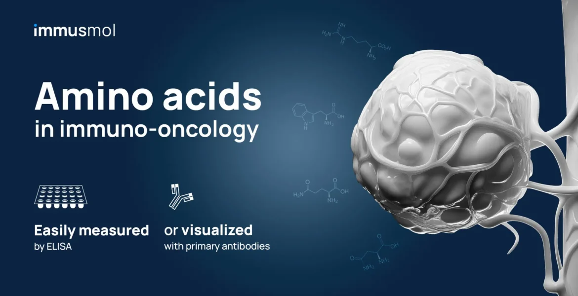 Immuno-Oncology: A Practical Toolbox for Quantifying Amino Acid Metabolism