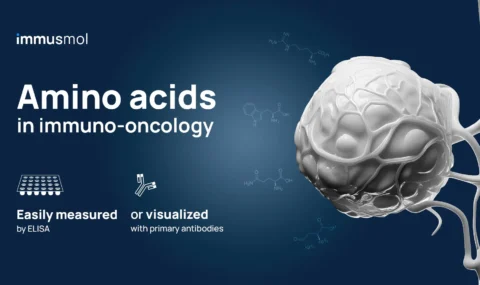Immuno-Oncology: A Practical Toolbox for Quantifying Amino Acid Metabolism