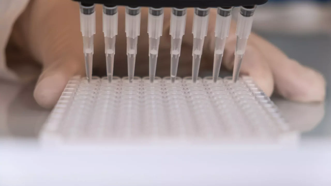 New product: Highly Sensitive Citrulline ELISA kit validated for plasma samples
