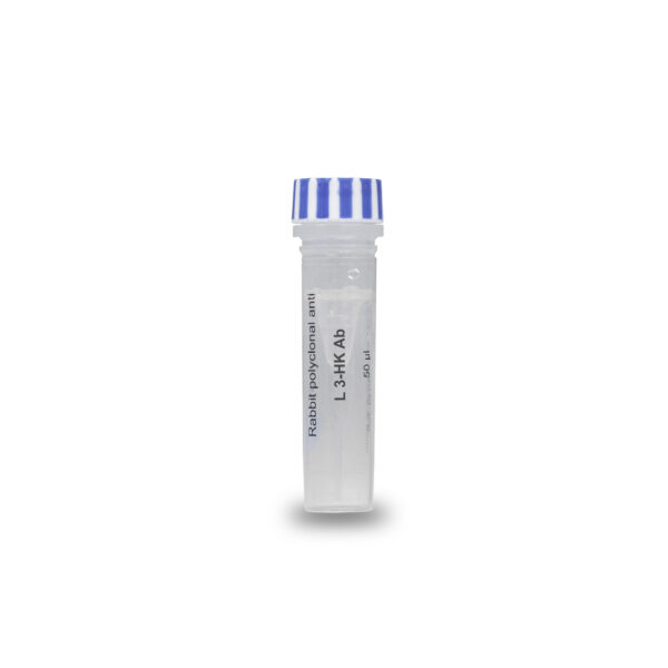 Anti-3-hydoxykynurenine antibody - Rabbit Polyclonal